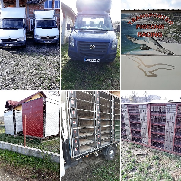 De vanzare masini si containere transport porumbei